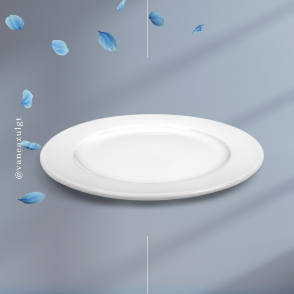 Plato blanco redondo de cerámica para servicio de catering y banquete en eventos.